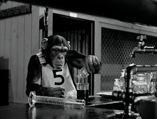 Illustration for article titled The Weirdest Animal Movie (and TV) Stars of All Time